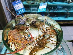 -强记海鲜·大排档(蛇口新街店)