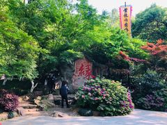 -杭州黄龙洞