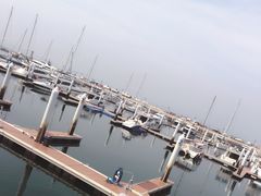 -东港音乐喷泉广场