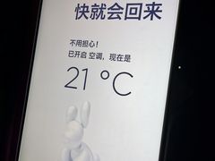 -TESLA 特斯拉(上海太古汇体验店)