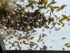 -VOYAGE COFFEE(北锣鼓巷店)