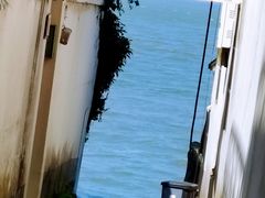 -东钱湖旅游度假区