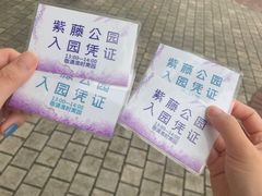 -嘉定紫藤园