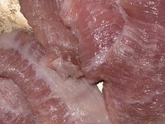 -核桃碳烤肉馆(深圳首店)