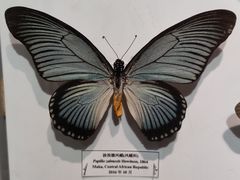 -吉林省自然博物馆