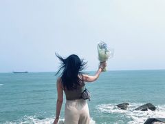 -广东惠东海龟国家级自然保护区