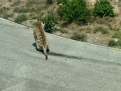 -大连森林动物园