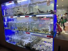 水产区-石锅苗苗鱼(武汉首店)