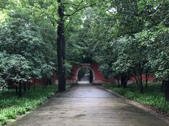 -灵谷景区