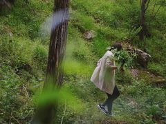-秦岭风景区
