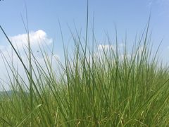-苏州吴中太湖旅游区