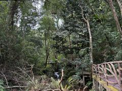 -海南热带雨林国家公园吊罗山景区