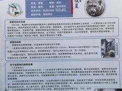 -青藏高原野生动物园