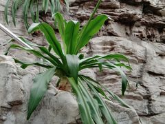 -北京植物园-展览温室