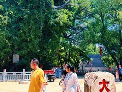 -大槐树寻根祭祖园