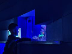 -石家庄海洋公园