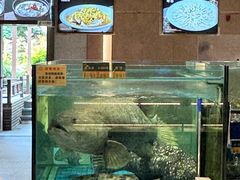 -聚福宝合苑食府(南头镇店)