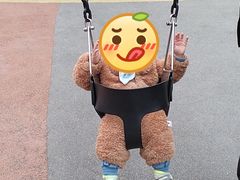 -枫香湖儿童公园