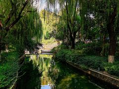-趵突泉景区