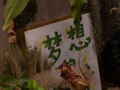 -杭州植物园