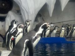 -太平洋海底世界