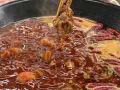 -阳阳老火锅(小南门店)