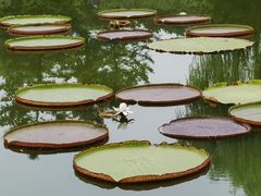 -国家植物园南园