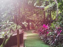 -呀路古热带植物园