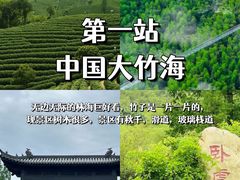 -阿露佳·舌尖上的安吉菜