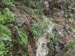 -九曜山