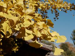 -承恩寺