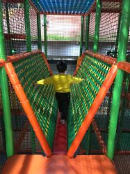 -爱丽丝奇幻乐园