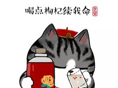 -平湖九龙山乐满地水上乐园