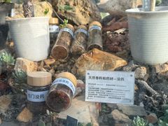 -国家植物园南园