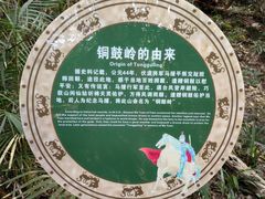 -海南铜鼓岭景区