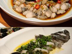-CHIC1699远洋私厨