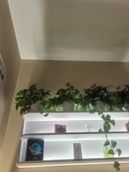 -丝域养发馆