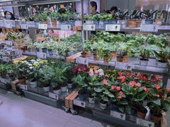 -鹿岛生活(熙地港店)