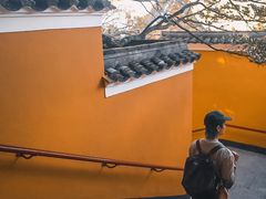 -普陀山风景区-佛顶山