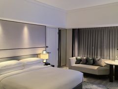 -新加坡乌节希尔顿酒店 (SG Clean)