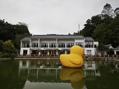 -谷丰健康凤贤居酒家