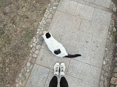 -北京凤凰岭