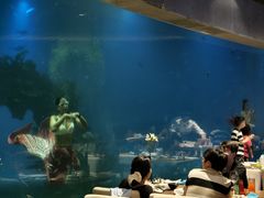 -海棠湾洲际-涛·海底餐厅·美人鱼·自助餐·海底隧道