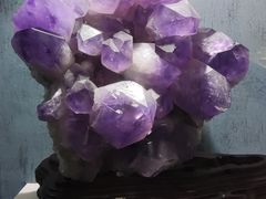 -河南自然博物馆