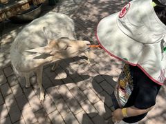 -水上乐园·欢乐世界