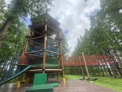 -黄海国家森林公园