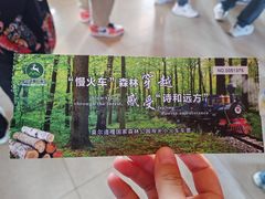 -莫尔道嘎国家森林公园
