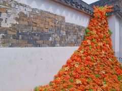-青果巷历史文化街区