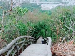 -梧桐山风景名胜区