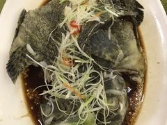 -顺峰渔港中国人的餐厅